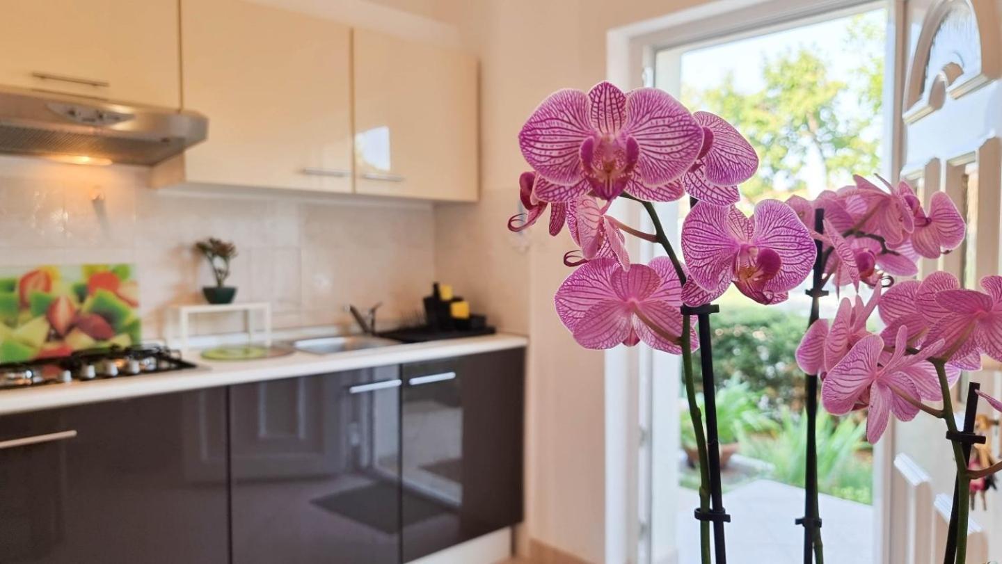 Appartement Bosko à Umag Extérieur photo